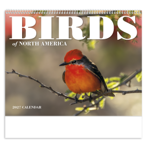 Birds of North America - Spiral Calendar