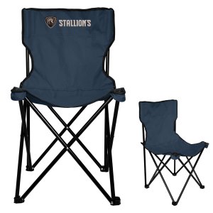 Basic Folding Chair With Bag