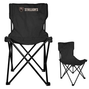 Basic Folding Chair With Bag