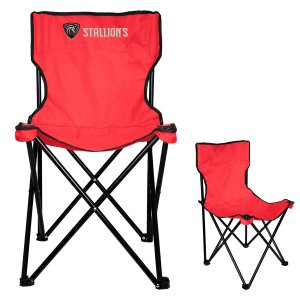 Basic Folding Chair With Bag