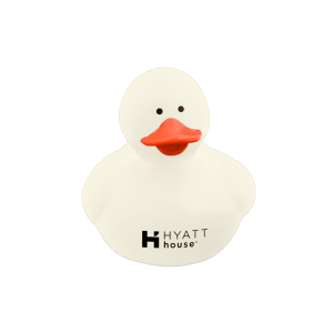 Colorful Rubber Ducky