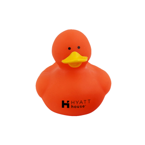 Colorful Rubber Ducky
