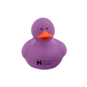 Colorful Rubber Ducky