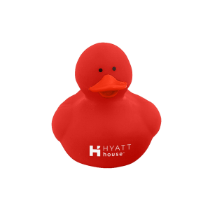 Colorful Rubber Ducky
