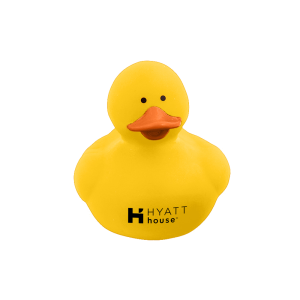 Colorful Rubber Ducky