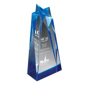 Lucite Star Reflection Award