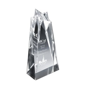 Lucite Star Reflection Award
