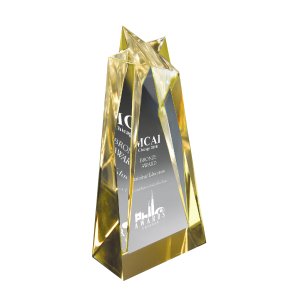 Lucite Star Reflection Award
