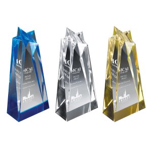Lucite Star Reflection Award