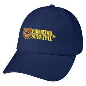 Classic Washed Twill Baseball Hat