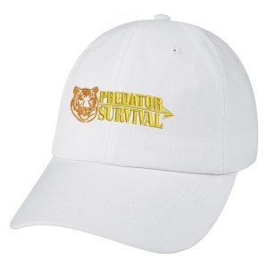 Classic Washed Twill Baseball Hat