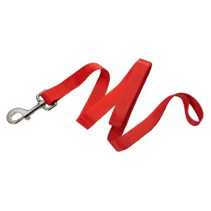 Paws & Prints Custom Leash