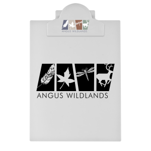 Round Top Letter Clipboard