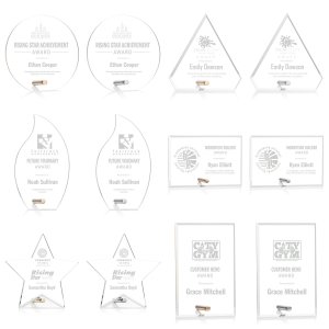 Pinpoint Acrylic Award