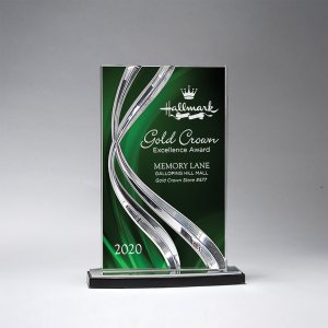 Medium Ribbon Twist Lucite Award