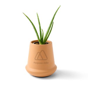Modern Sprout Modern Terracotta Grow Kit Aloe