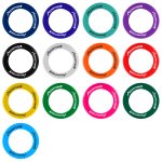 Fly High 9.6" Ring Flyer