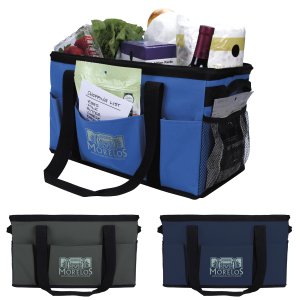 Take-Along Organizer Tote