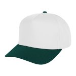 White With Forest Green