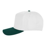 White With Forest Green