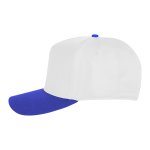 White With Royal Blue