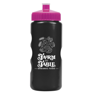 Small Summit Tritan Metallike Bottle with Push-Pull Lid - 22 oz.