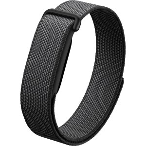 Google Fitbit Air