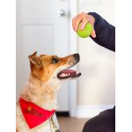 Scout's Large Pet Bandana