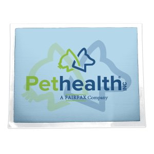 Clean Catch Pet Feeding Mat