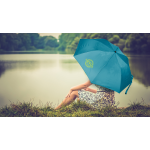 Shed Rain 40" Economy Auto-Open Compact Umbrella