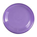 TRANSLUCENT VIOLET