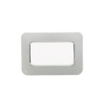 Silver/White
