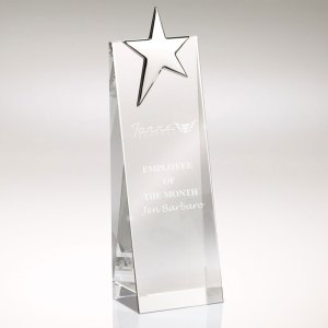 North Star Crystal Tower Award