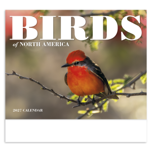 Birds of North America - Stapled Calendar
