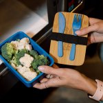 Eco Picnic Wheat Lunch Box