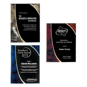 Mid-Size Lucite Plaque