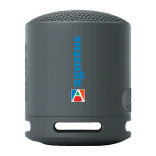 Sony SRS-XB100 Bluetooth Speaker