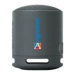 Sony SRS-XB100 Bluetooth Speaker