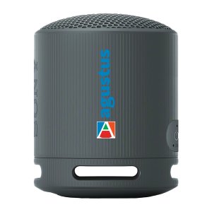 Sony SRS-XB100 Bluetooth Speaker