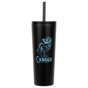 Breezy 24 oz Stainless Tumbler with Straw