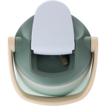 Eucalyptus Green